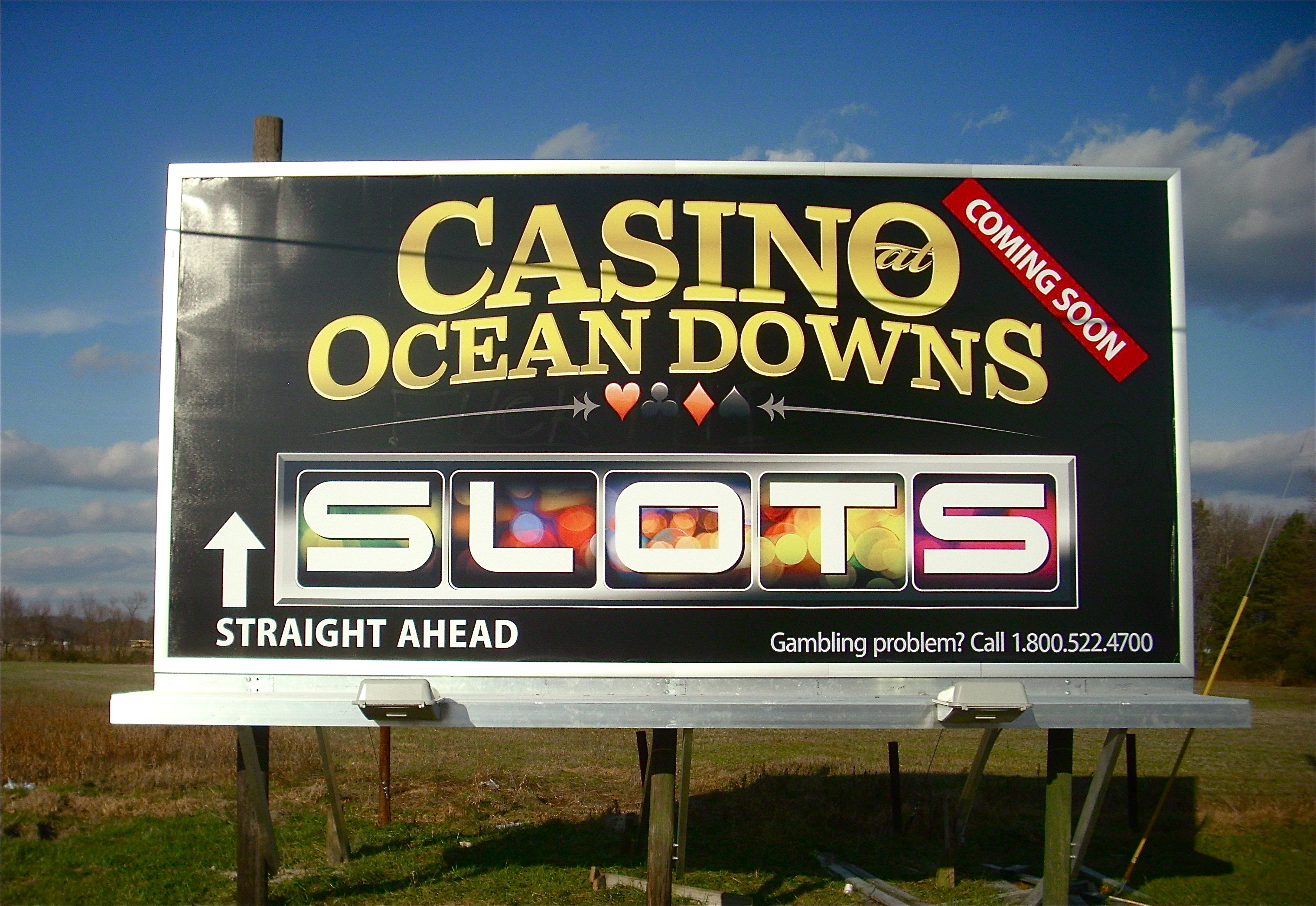The Downs Casino